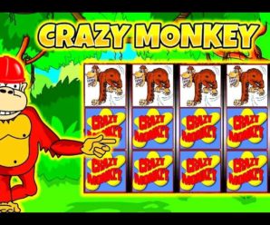 Где найти слот Crazy Monkey
