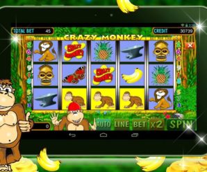 Игровой слот Crazy Monkey в казино Вулкан